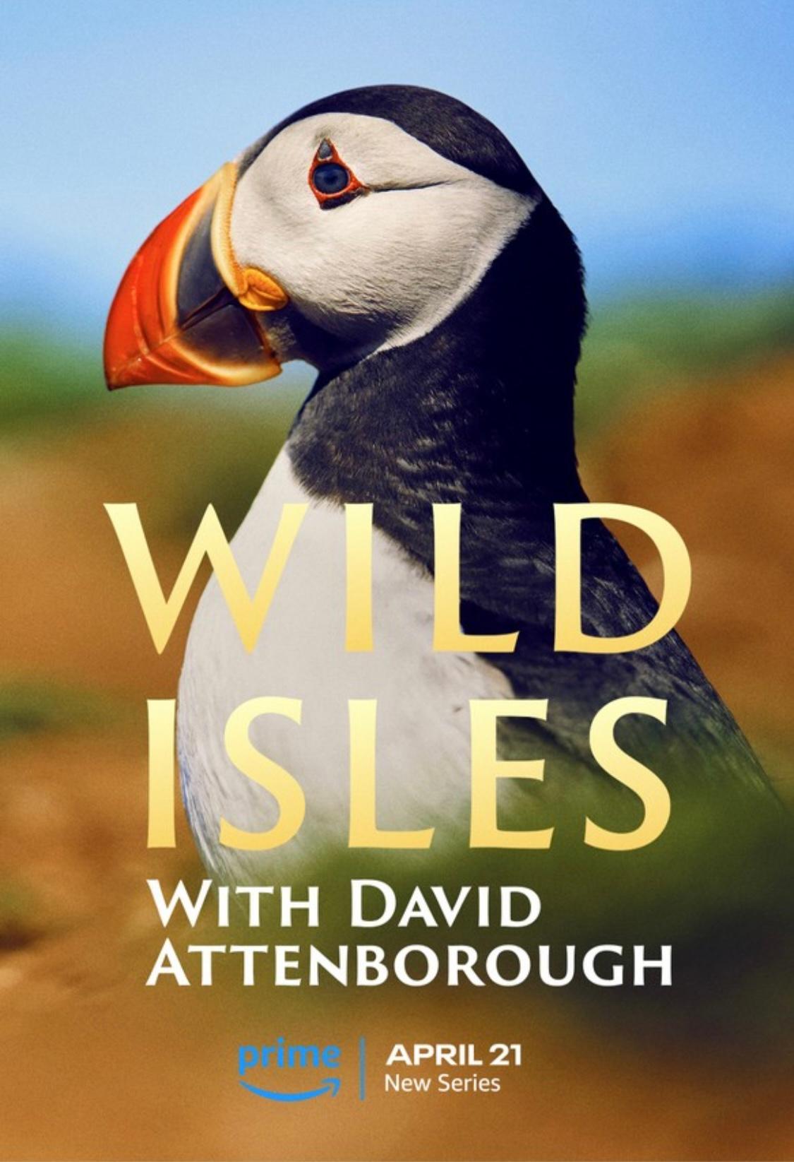 Affiche de Wild Isles, documentaire doublé en français sous la direction artistique de Géraldine Asselin.